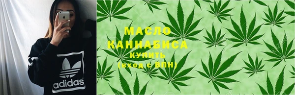 твердый Горняк