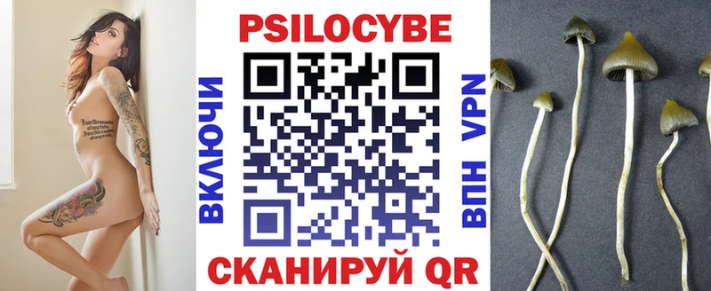 наркошоп  Северск  Псилоцибиновые грибы мухоморы 